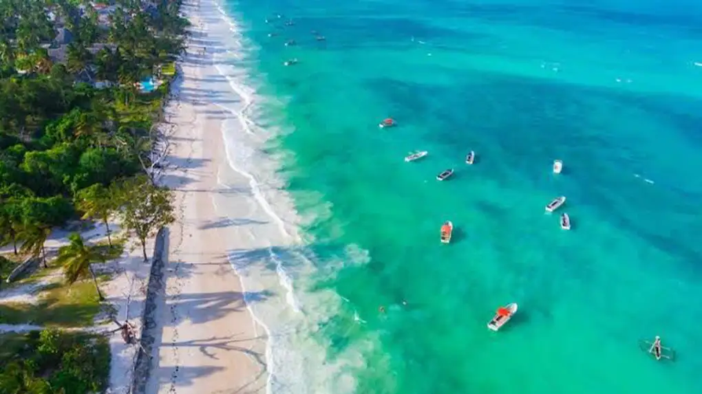 Safari Zanzibar combining wildlife safari and beach vacation 2026 - 2027