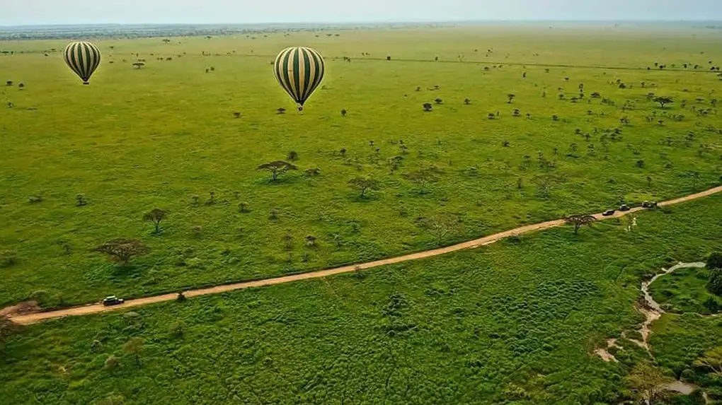 Tanzania Safari and Zanzibar combo package featuring wildlife and beaches 2026 - 2027