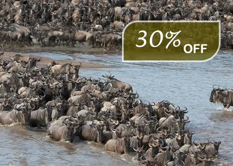 10 Days Wildebeest Migration Safari