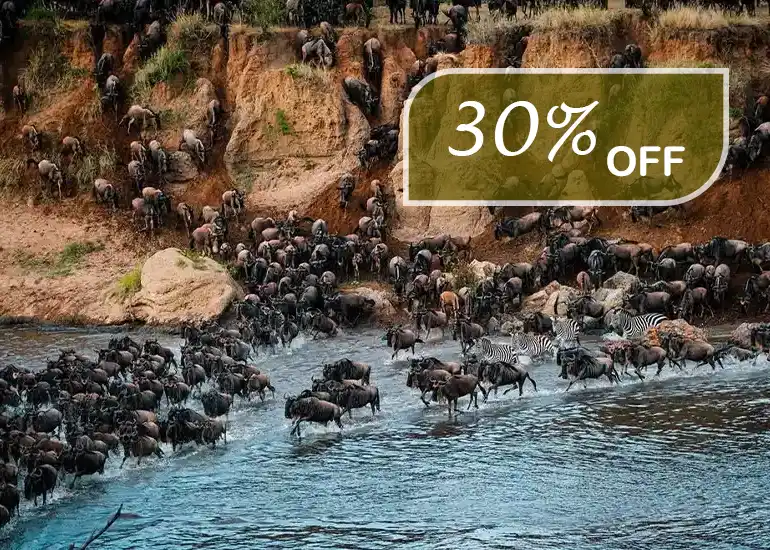 14 Days Great Migration Safari