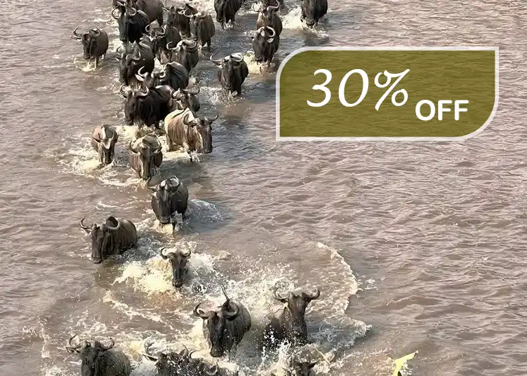 3 Day Wildebeest Migration Safari