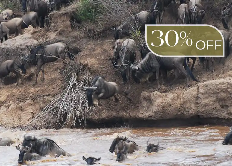 4 Days Serengeti River Crossing Safari - Wildebeest Migration 2026