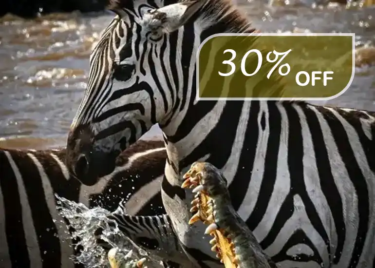 6 Days Mara River Crossing Migration Safari