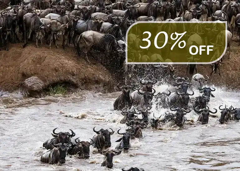 8 Days Wildebeest Migration Tours