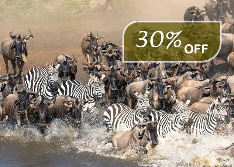 9 Days Great Migration Safari