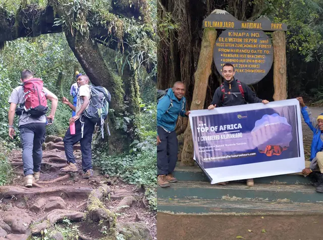 Mount kilimanjaro day hike Tanzania