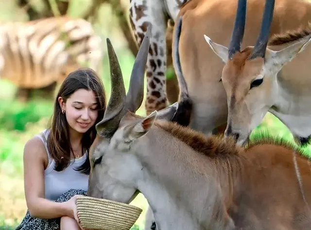 Serval wildlife day trip safari Tanzania