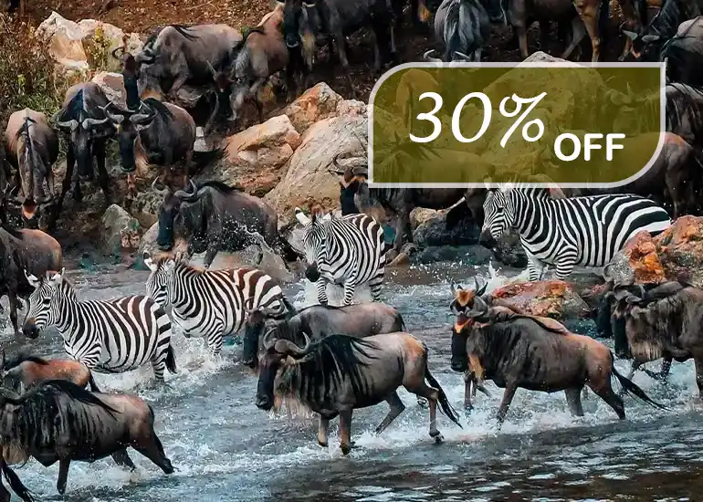 The Great Show on Earth - Wildebeest Migration 2026-2027