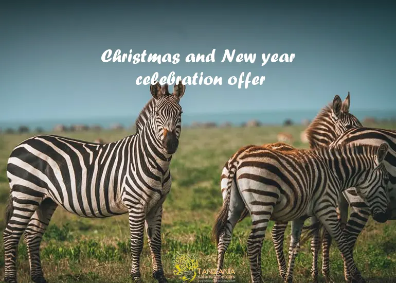 12 Days Tanzania Safari & Zanzibar Beach Luxury Package