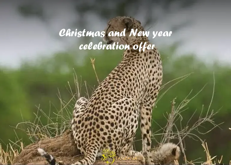 12 Days Luxury Family Safari – Tanzania & Zanzibar