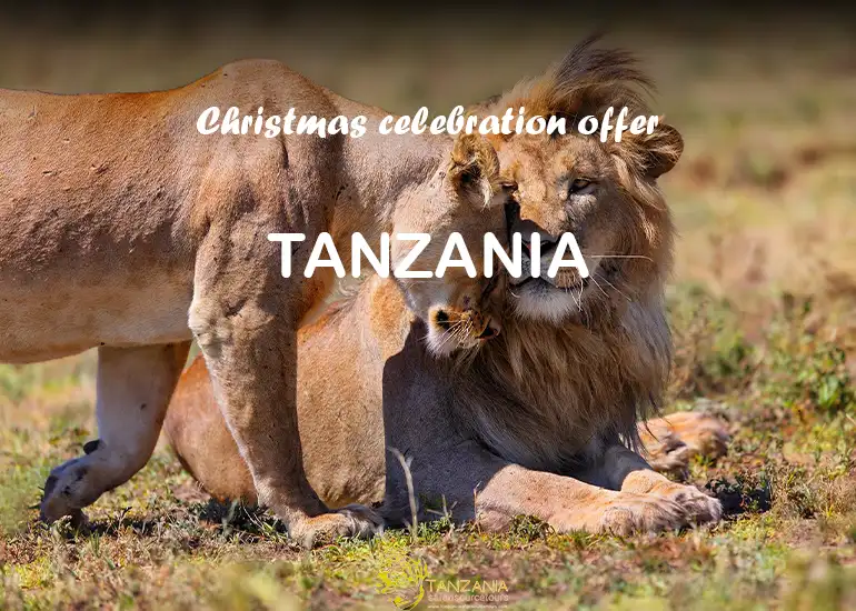 5 Days Christmas Serengeti Safari