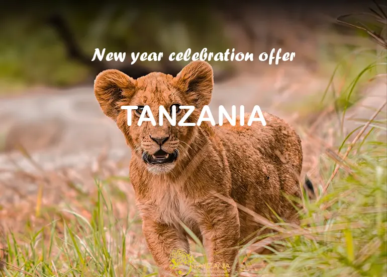 5 Days New Year Serengeti Safari