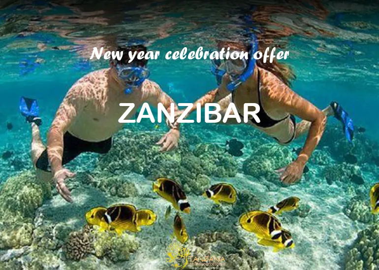 7 Days Zanzibar New Year Luxury Getaway.