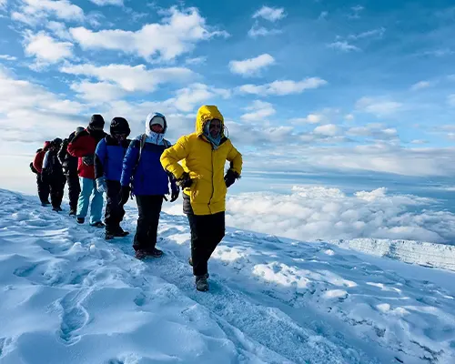 Kilimanjaro 7 Days Hike