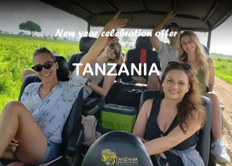 Tanzania safari package - 8 Days New Year Safari in Tanzania