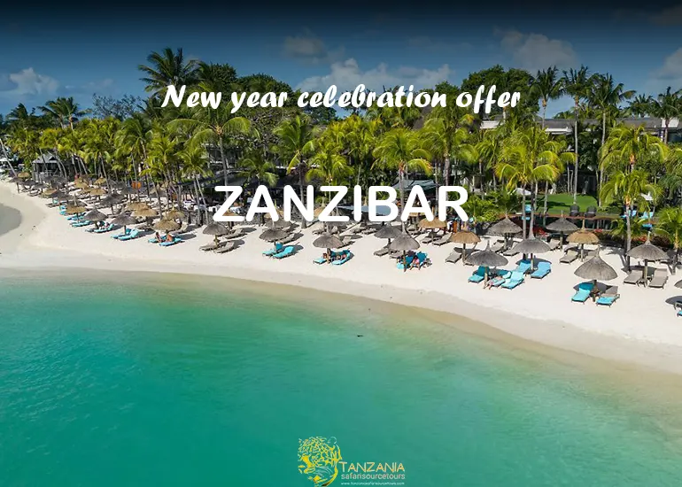 8 Days Zanzibar New Year Adventure Holiday.