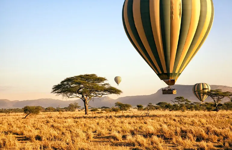 Experiencia de Safari en Globo en Tanzania