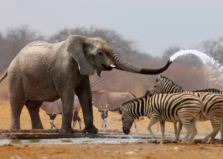 Arusha travel destinations Panoramic view of Arusha attractions