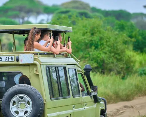Budget Safari Package