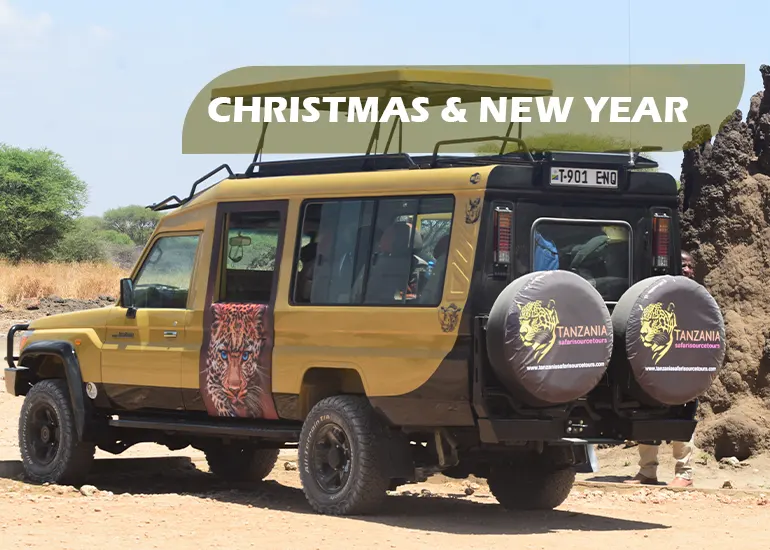 Celebrating Christmas & New-Year Holidays Safari and Zanzibar Beach Holidays