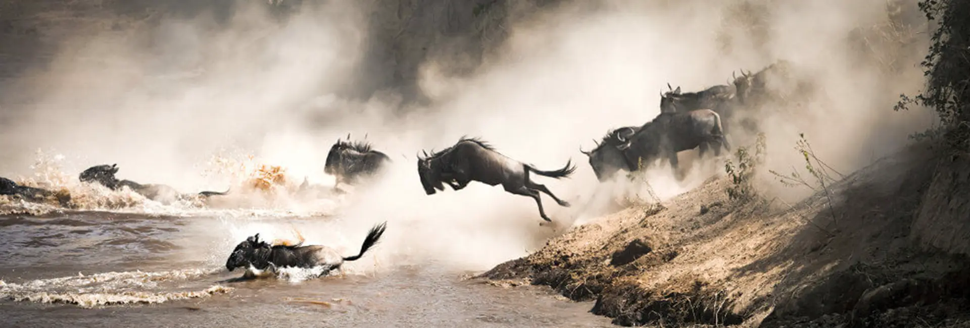 Great Migration Serengeti Safari 2026