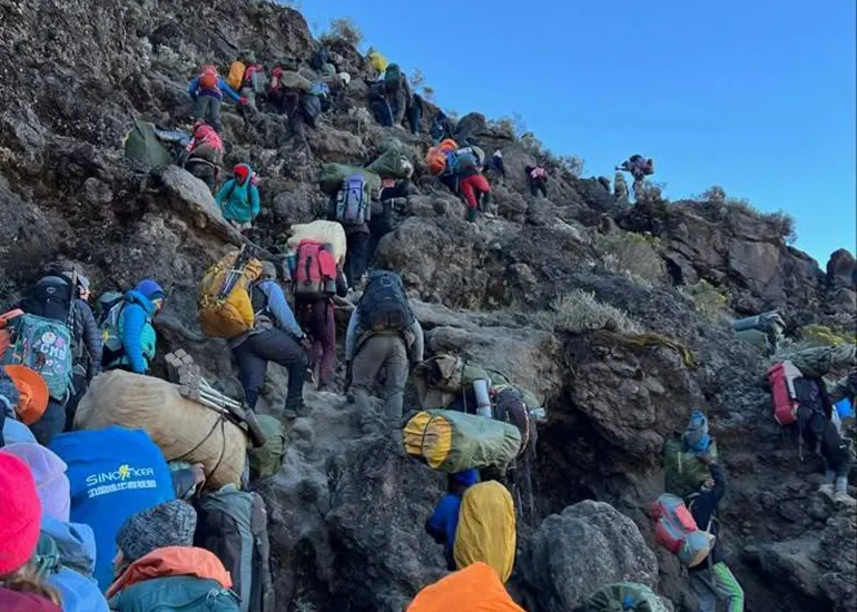Kilimanjaro Day Hike Kilimanjaro Day Hike