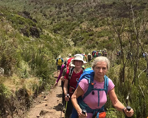 Kilimanjaro One Day Trip