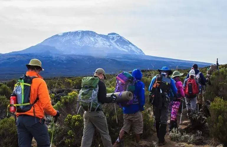 Experiencia de Trekking en Kilimanjaro