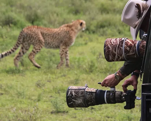 Photography Private Safari Package