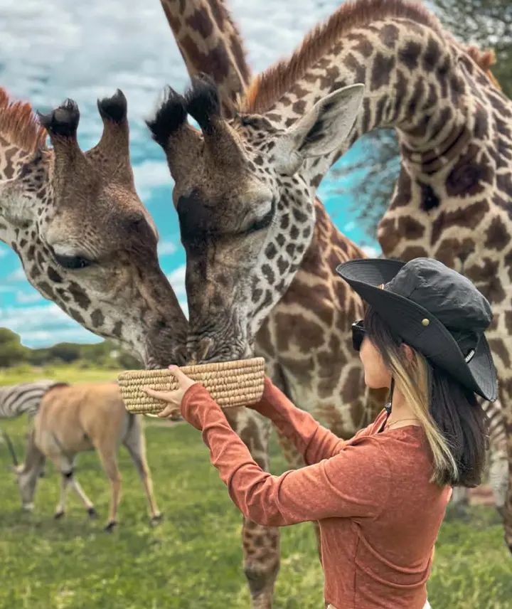 Safari Privado en Tanzania