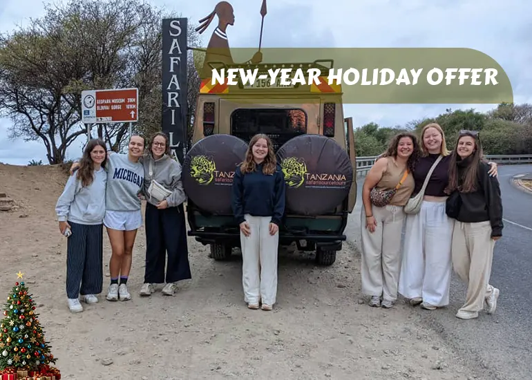Tanzania Safari and Zanzibar Beach Combo