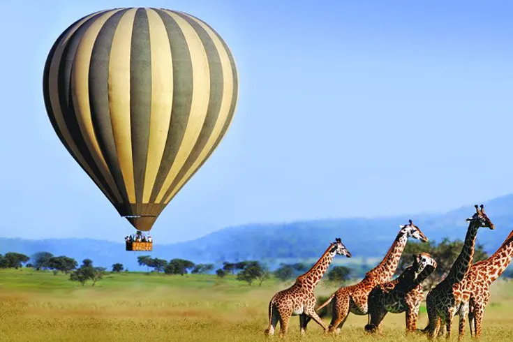 Mongolfiera Safari di 6 giorni e Zanzibar