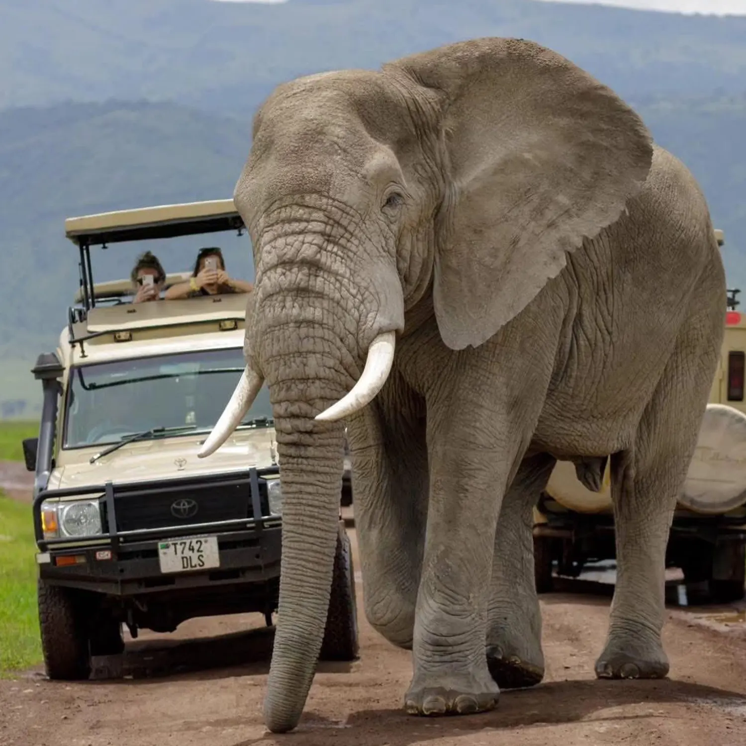 Luxury tours in Tanzania