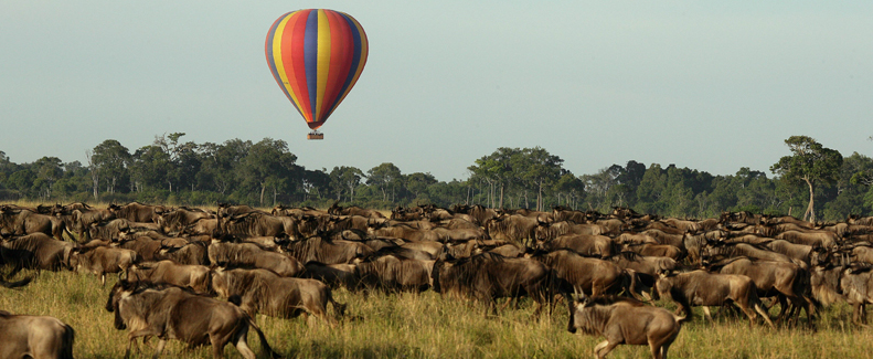 The Great Wildebeest Migration: Tanzania&rsquo;s Spectacular Natural Wonder