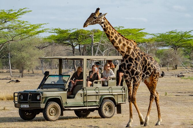 New Year Family Safari in Tanzania: Celebrate the Wild Together