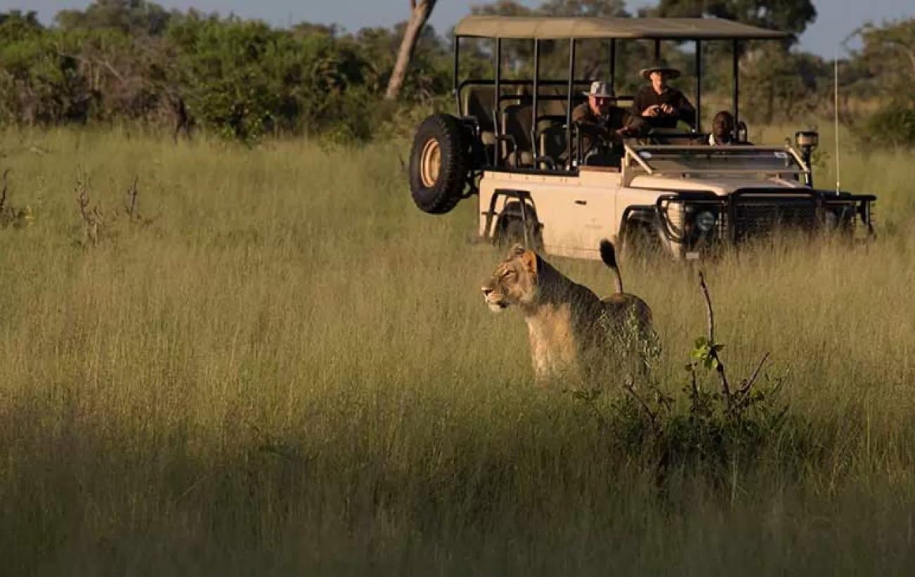 Why a Honeymoon Safari Is the Perfect Start to Married Life