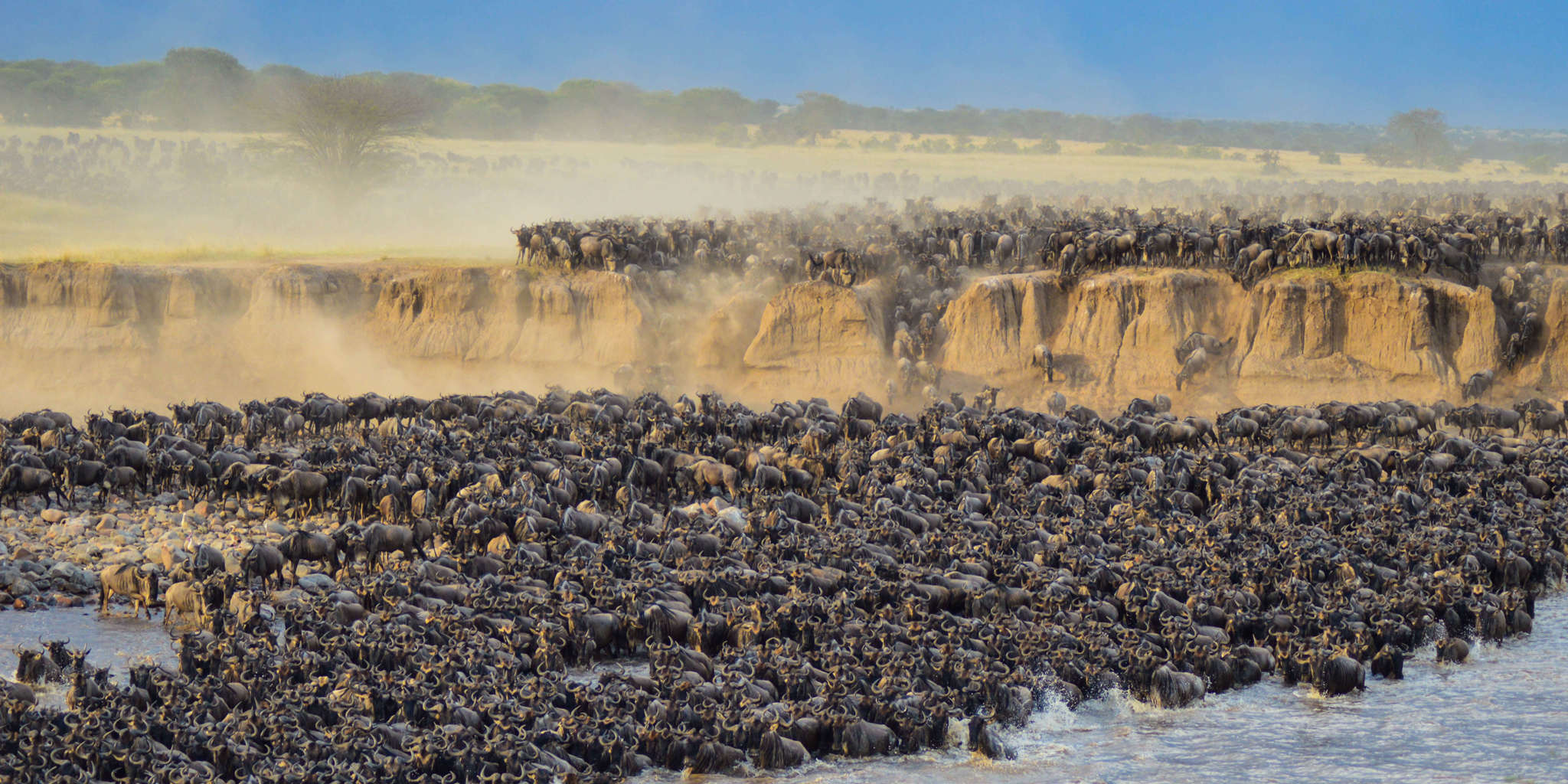 The Best Time to Witness the Great Migration River Crossings in Tanzania