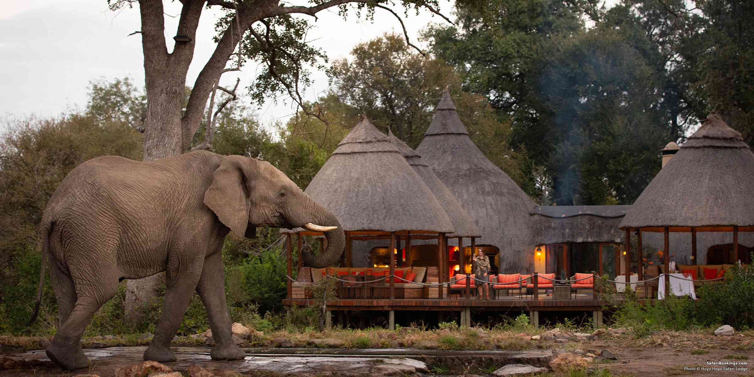 Luxury Honeymoon in Tanzania: A Romantic Safari in Style