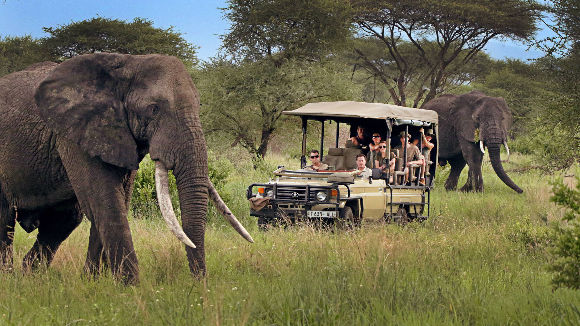 Luxury Safaris in Tanzania: Exclusive Wildlife and Unforgettable Experiences
