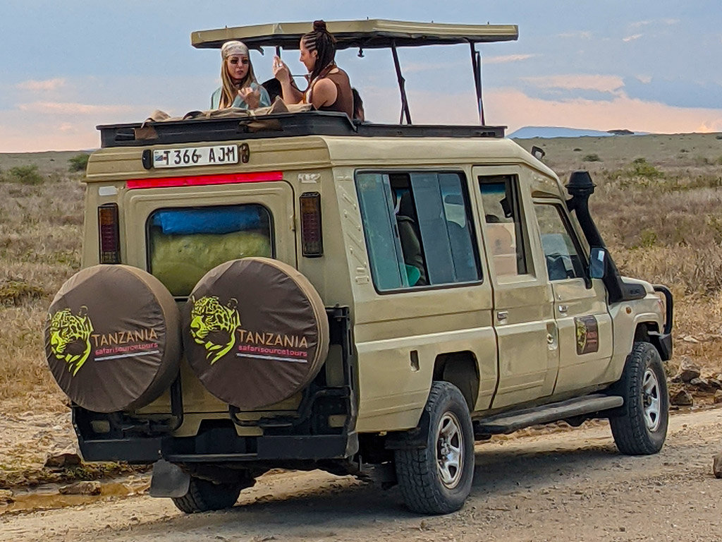 The Ultimate Private Safari Experience in Tanzania: Luxury, Adventure, and Wildlife