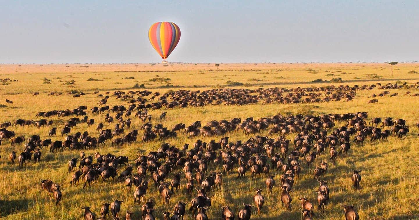 Tanzania&rsquo;s Top Safari Route: The Ultimate Northern Circuit Journey