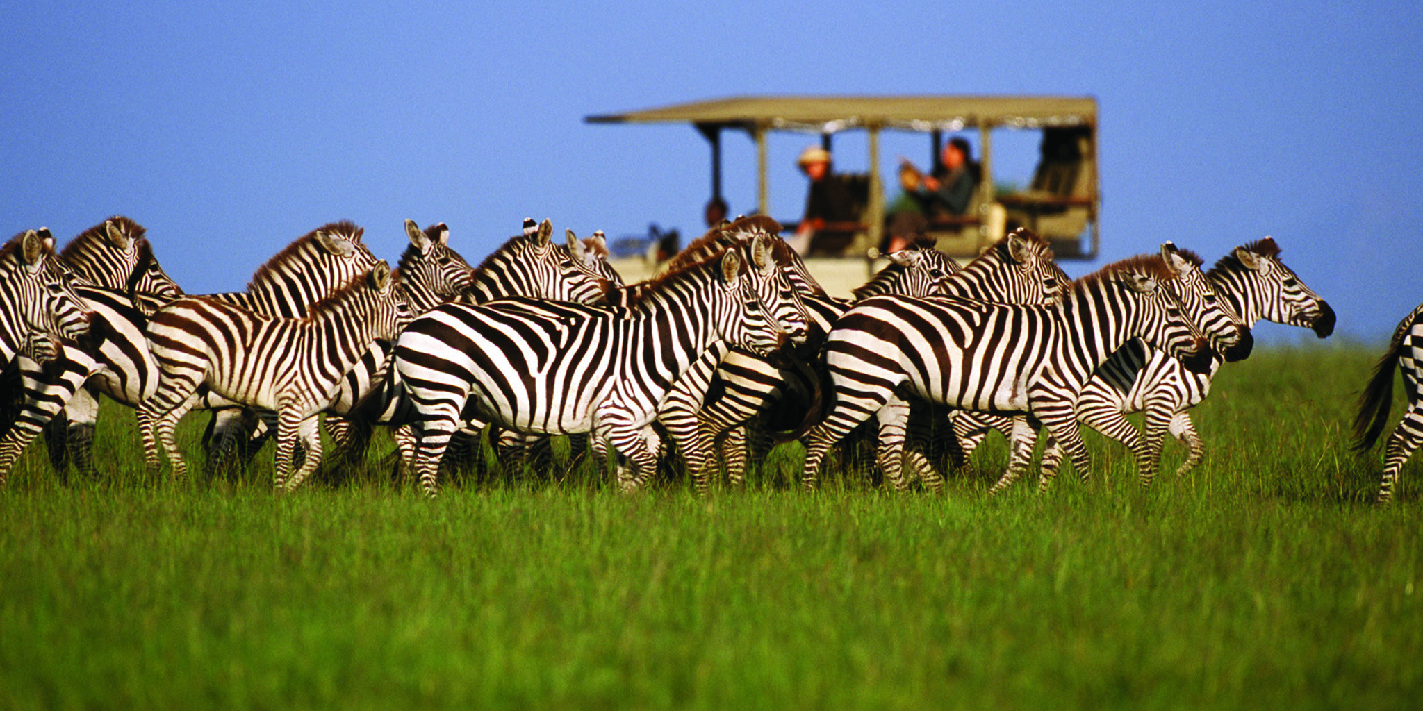 Photography Safari in Arusha: Unique Perspectives of Serengeti, Tarangire & Lake Manyara