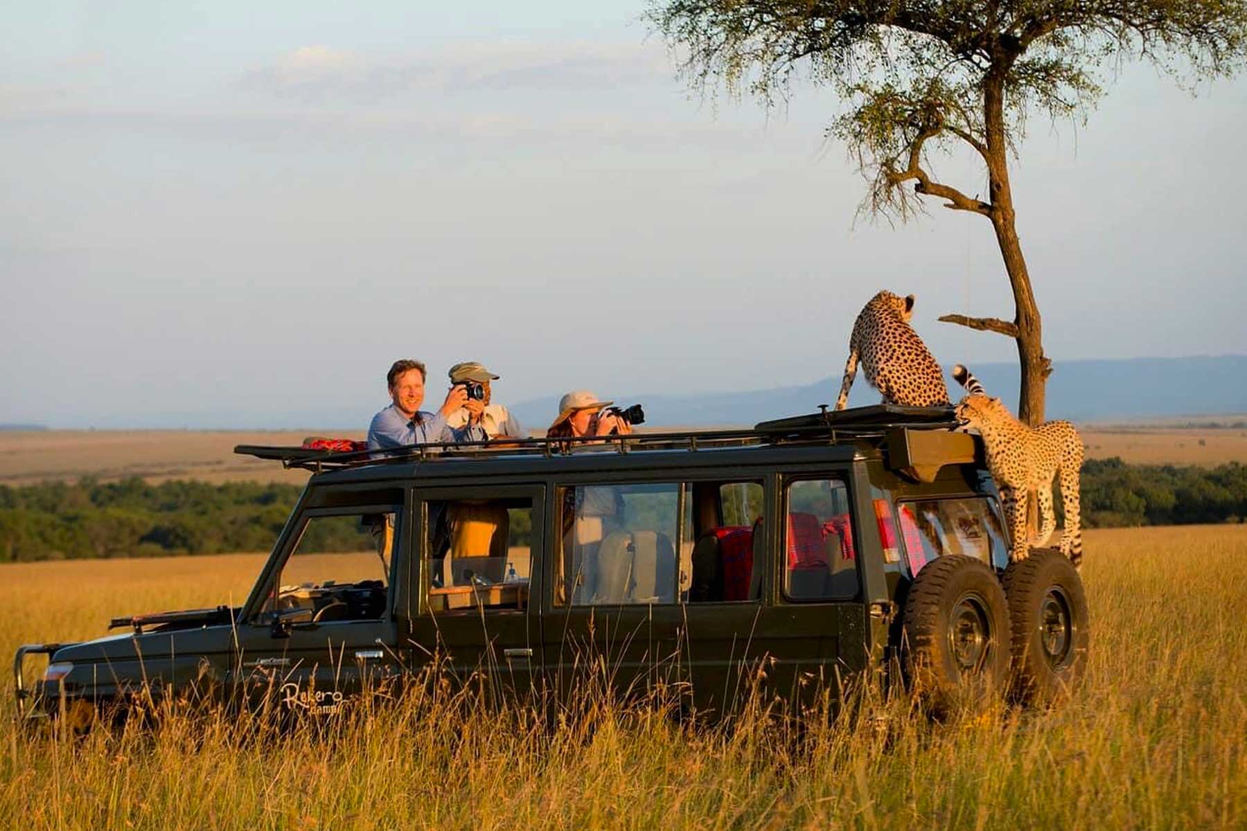 Budget-Conscious Tanzania Travel 2026: Explore Arusha Safaris Affordably