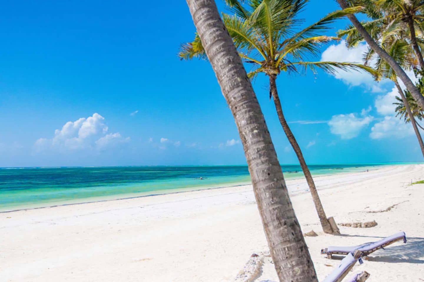 Safari and Beach Holidays 2026 | Tanzania Luxury Bush & Zanzibar Escape