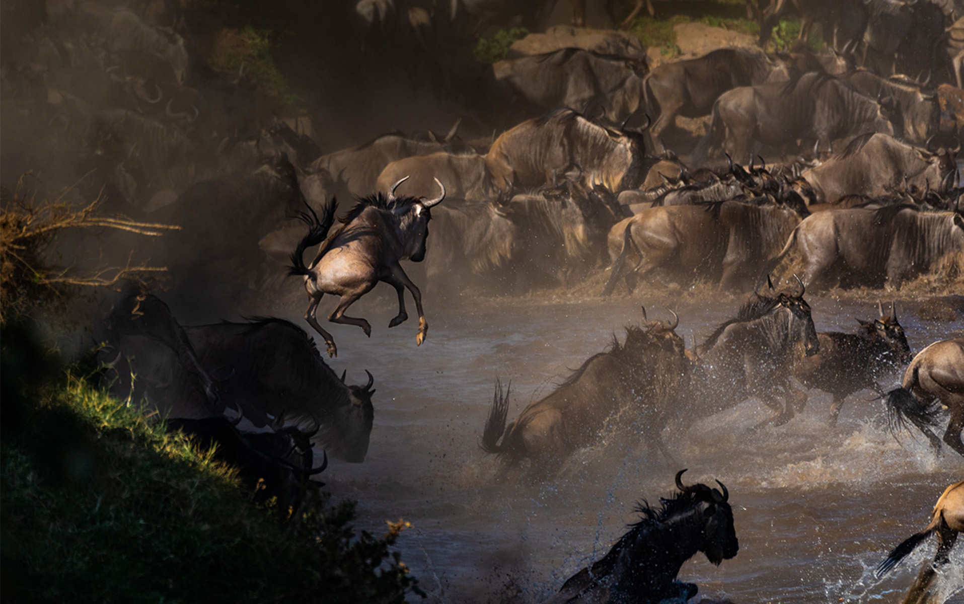 Wildebeest Migration River Crossings in Serengeti: Ultimate Safari Experience Wildebeest Migration River Crossings in Serengeti: Ultimate Safari Experience
