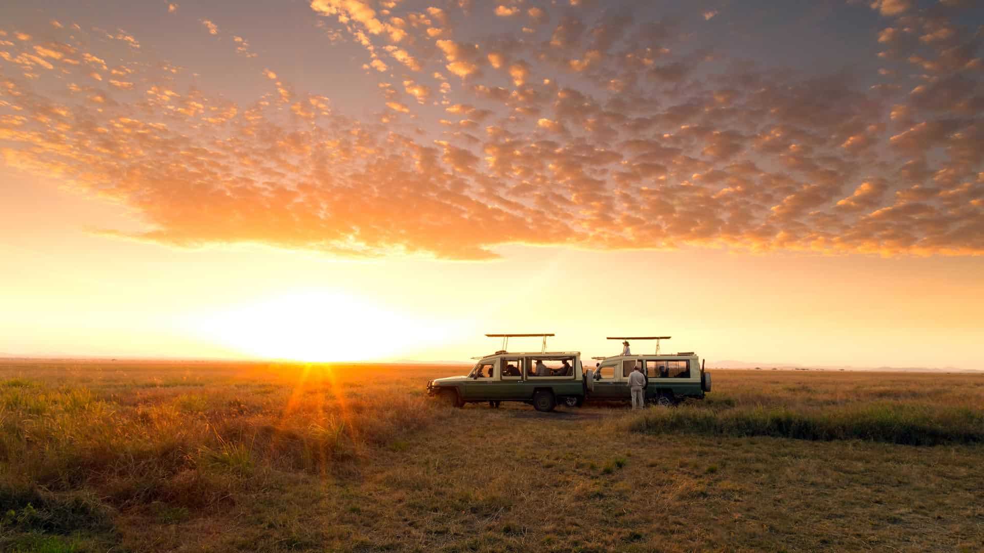 Serengeti Balloon Safari: Experience Tanzania from the Sky Serengeti Balloon Safari: Experience Tanzania from the Sky
