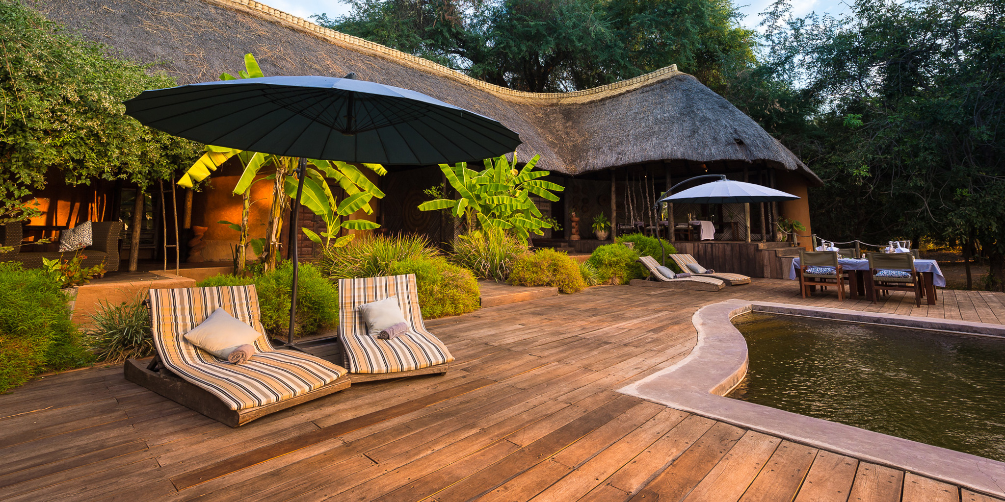Luxury Private Tanzania Safaris: Exclusive Wildlife Adventures Luxury Private Tanzania Safaris: Exclusive Wildlife Adventures