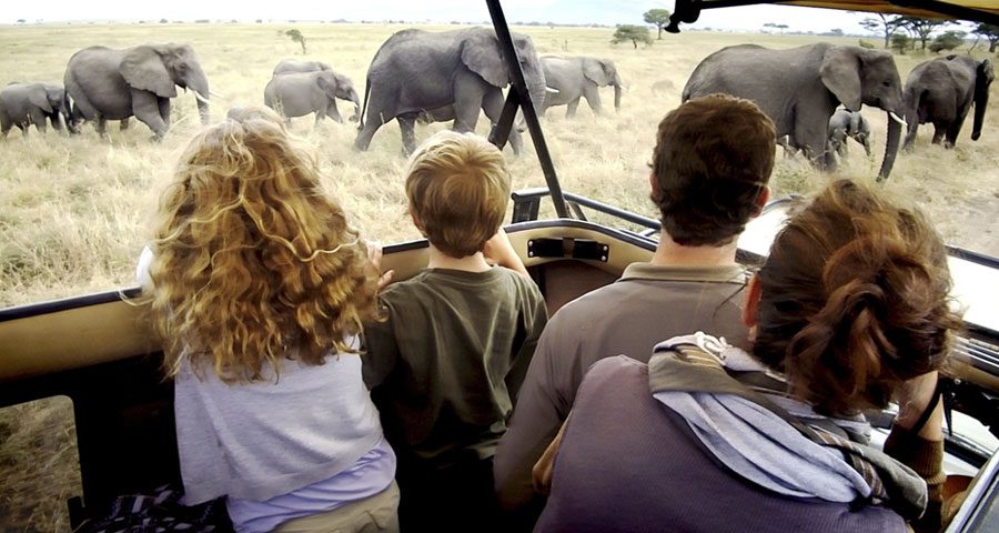 Hot Air Balloon Family Safari in Tanzania: A Unique Adventure for All Ages Hot Air Balloon Family Safari in Tanzania: A Unique Adventure for All Ages