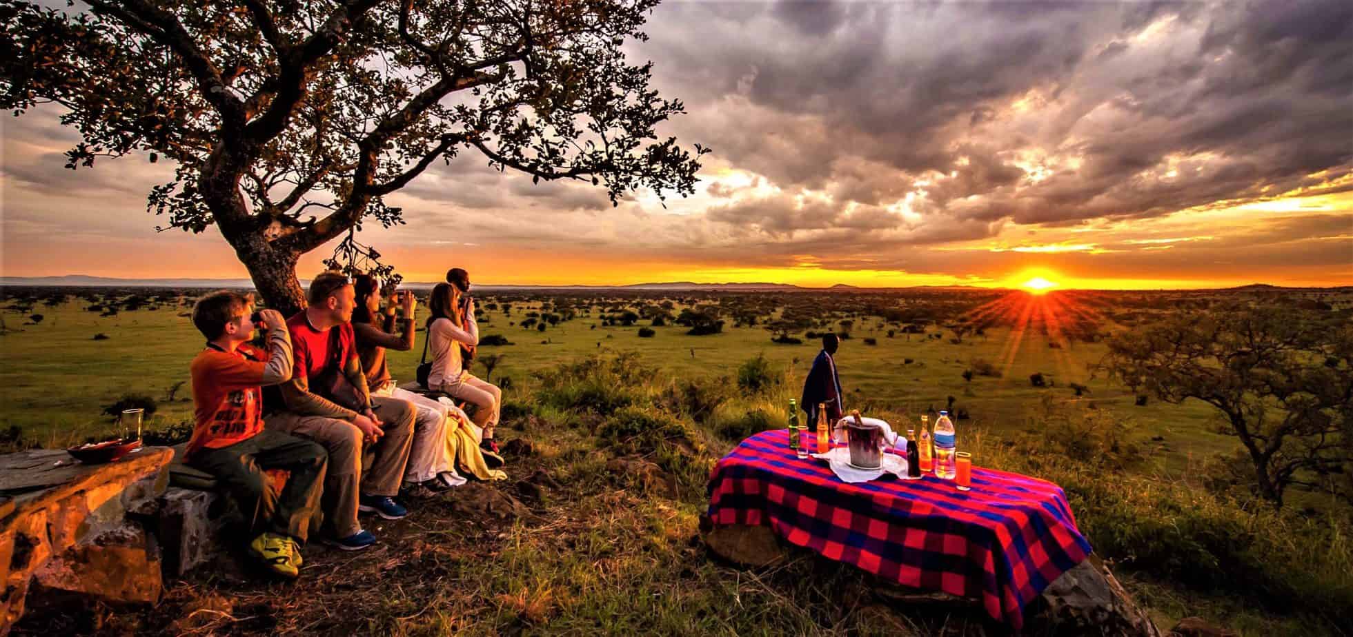 Serengeti National Park Safari: Ultimate Wildlife Adventure