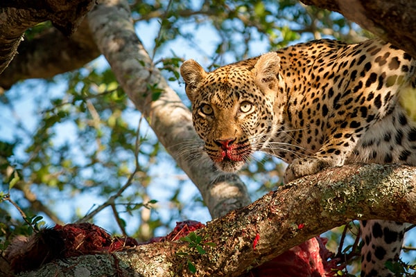 Best Places to Visit in Tanzania in October: A Perfect Safari Season